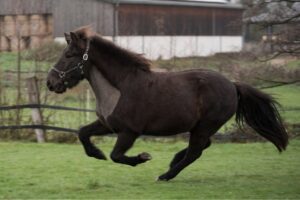 IMG-20180422-WA0009 (1)