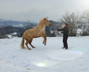 IMG-20210210-WA0061 (1)