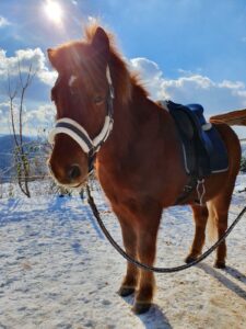 IMG-20210211-WA0123 (1)