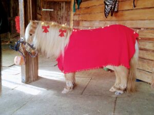 IMG-20220404-WA0122 (1)